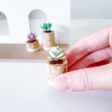 接單製作款 八千代 福娘 黛比。仿真黏土多肉植物_軟木塞迷你盆組