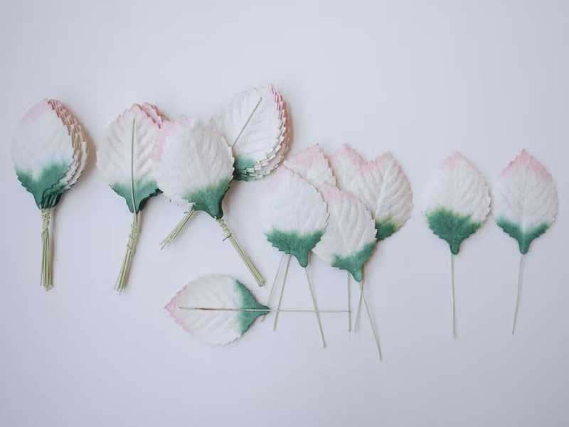 Paper Flower, Gift decoration DIY supplies: 50 pieces, green brush pink leaves