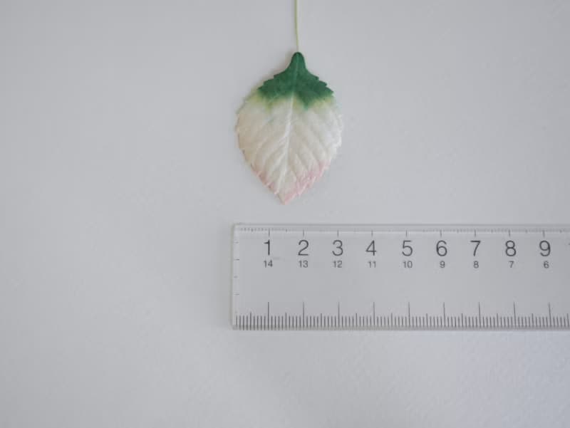 Paper Flower, Gift decoration DIY supplies: 50 pieces, green brush pink leaves