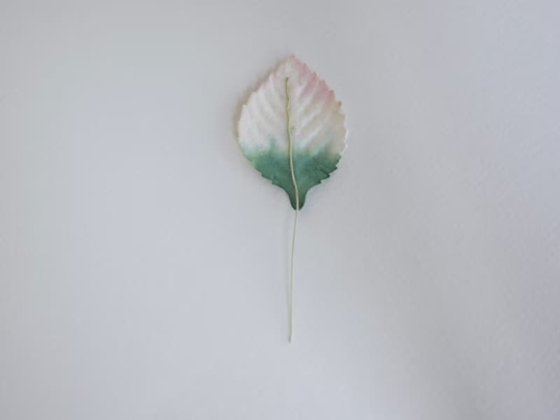 Paper Flower, Gift decoration DIY supplies: 50 pieces, green brush pink leaves
