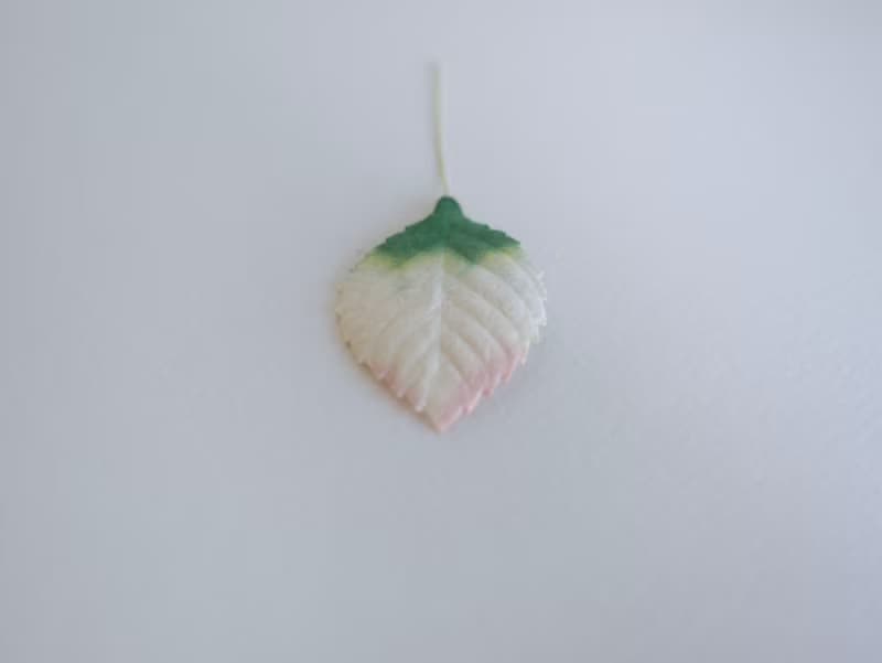 Paper Flower, Gift decoration DIY supplies: 50 pieces, green brush pink leaves