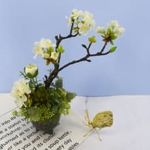 梨花日式陶盆香氛花禮/入厝禮/開幕/喬遷/送禮/植栽