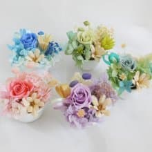 情人節禮物花束永生不凋迷你盆花 求婚告白情人節生日男/女生中秋