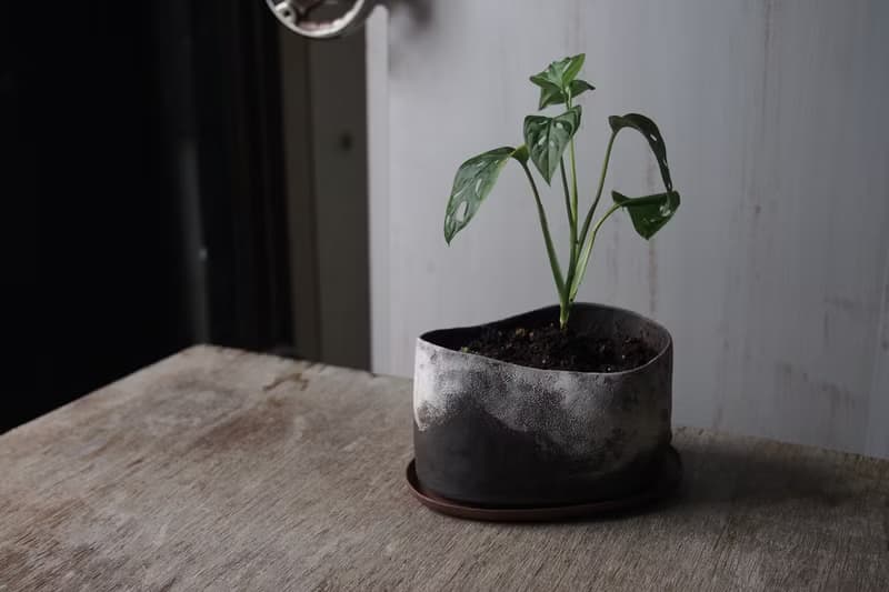 陶製花器 / 盆栽