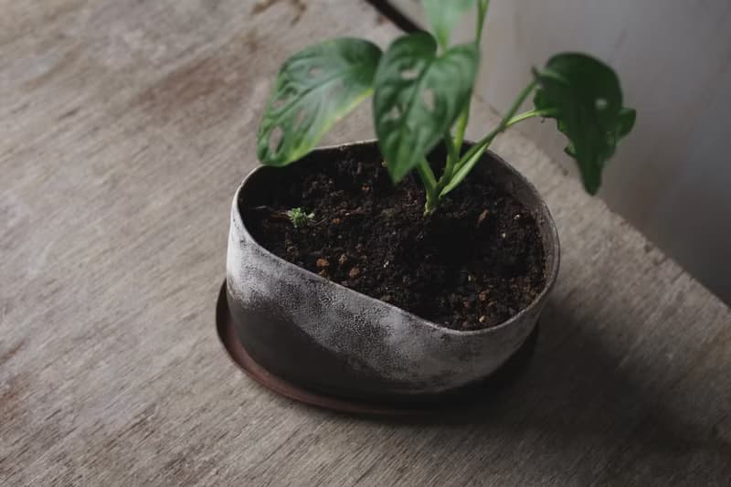 陶製花器 / 盆栽