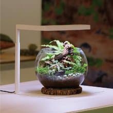 Flat Nano+ app智慧全光譜LED植物燈 白 室內植物