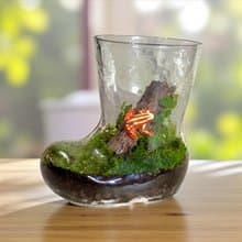 微景。觀世界系列  | 童話森林綠意小靴