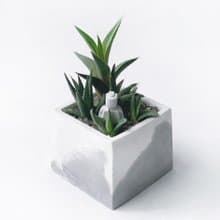 (預購)白灰漸層系列 | 龍鱗+金城+子寶+機器人 方形水泥多肉植栽