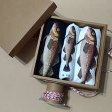 親子禮盒 -魚 Fish