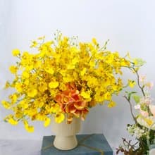 文心蘭橘繡球香氛花禮/入厝禮/開幕/喬遷/送禮/植栽