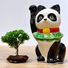 【熊貓招財】日本清水燒招財貓 | 熊貓Panda - 億万両