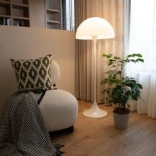 【室內盆栽】旺旺樹(小) 開幕盆栽 盆栽送禮 升遷送禮 發財樹