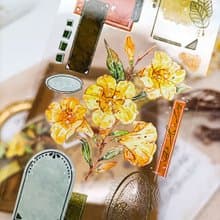 EE171香水茉莉Jasminum sambac / 紙膠帶 Masking Tape