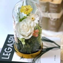青春永恆 永生花 玻璃罩盅 居家擺飾 生日禮物 謝師禮