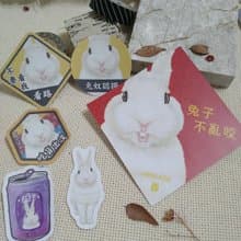 白兔-春聯-防水貼紙~利是封-揮春-福貼-車貼-行李箱貼-兔子