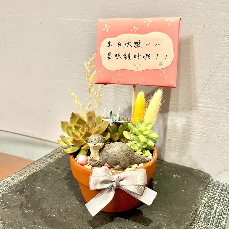 台中 多肉組盆 多肉植物 日式枯山水 日本 水獺 生日禮物 慶生禮