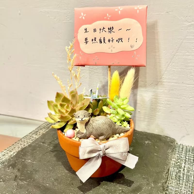 台中 多肉組盆 多肉植物 日式枯山水 日本 水獺 生日禮物 慶生禮