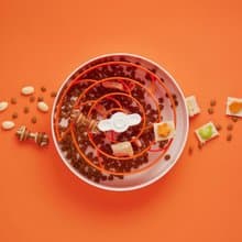 【貓狗用品】PetDreamHouse 旋轉益智慢食碗 渦輪