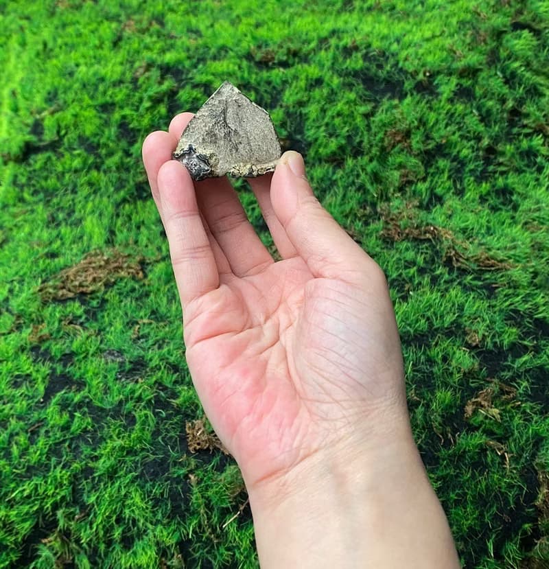 能量擺飾-天然原皮原礦紫晶簇 紫水晶 財運水晶 增智慧 快速出貨