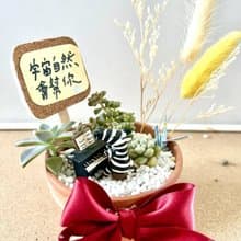 台中多肉組盆 多肉植物 日式枯山水 音樂比賽 鋼琴演奏 音樂送禮