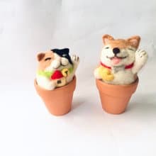 招財進寶_旺財x招財組合 柴犬 貓 招財進寶 送禮 喬遷 喜氣 聚寶