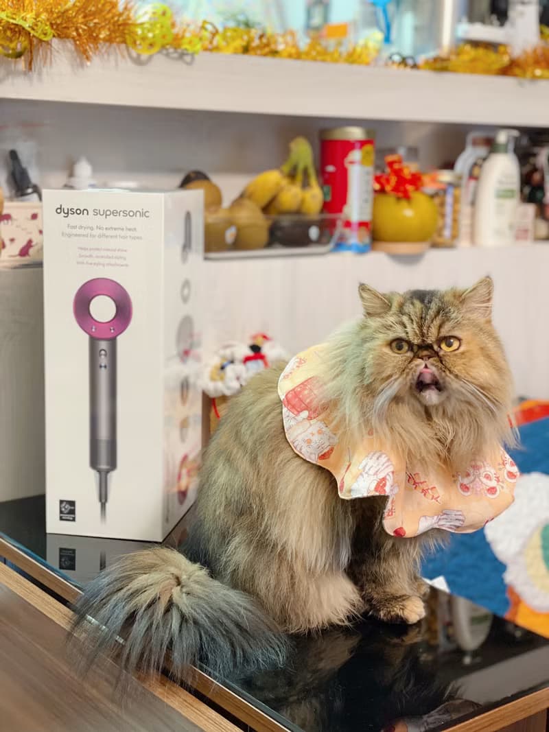 新年款 醒獅招財貓 花形口水肩