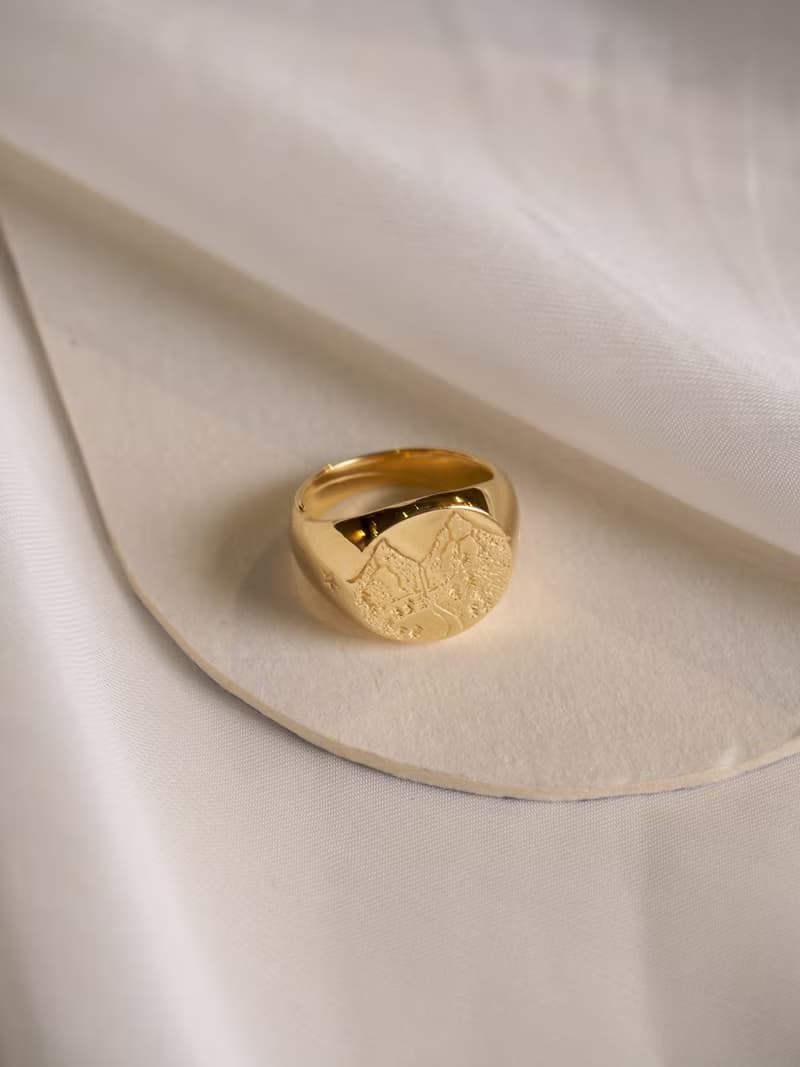Night Wild Signet Ring, Sterling Silver, Wild Ring.