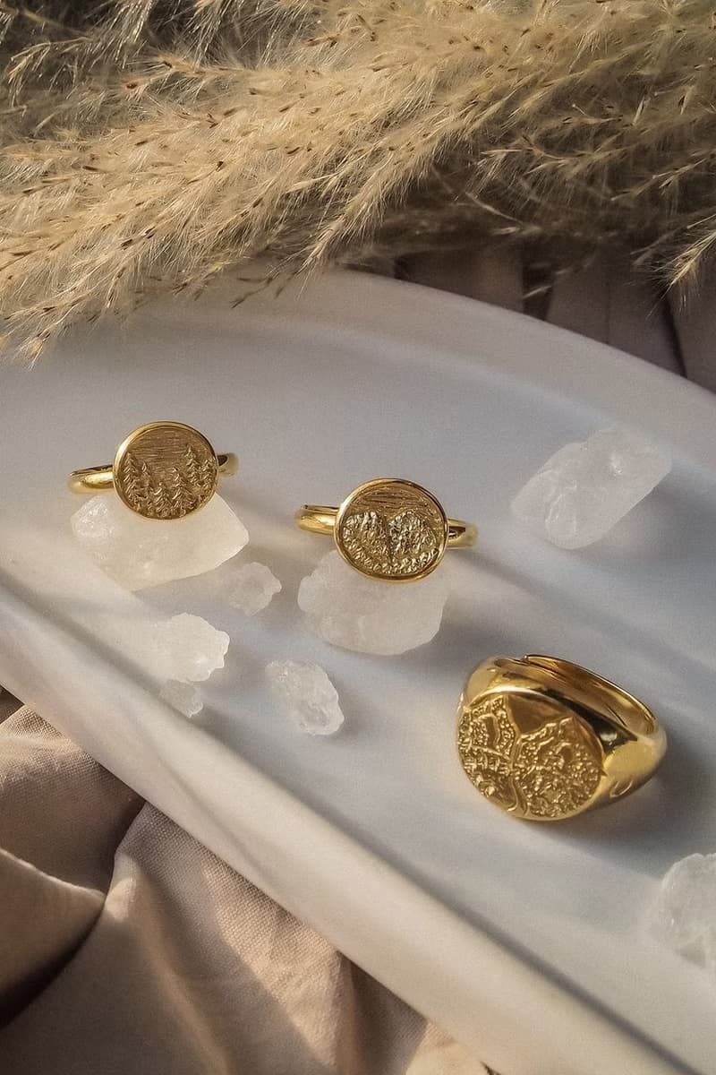 Night Wild Signet Ring, Sterling Silver, Wild Ring.
