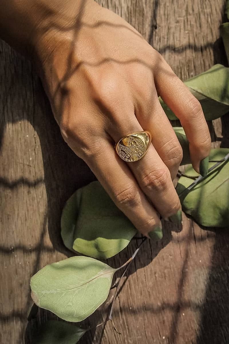 Night Wild Signet Ring, Sterling Silver, Wild Ring.