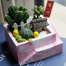 【台北場】下班隨手作 | 微景觀多肉暈染石盆