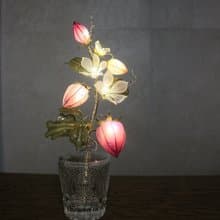 【誕生花燈】12月・草莓。小夜燈。生日禮物