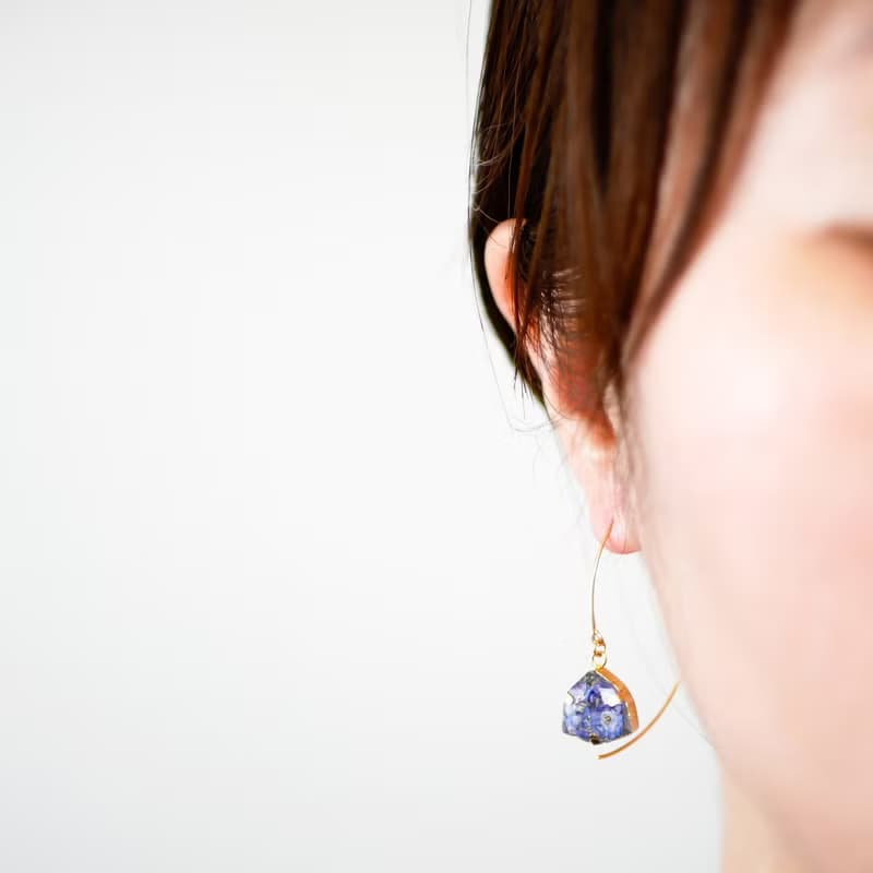 勿忘草のドライフラワー/フックピアス