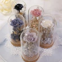 Rosemary小小花園玻璃罩-鉑金爵士  永生花/情人節/生日/畢業禮物