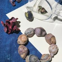 外蒙古眼睛石手鍊