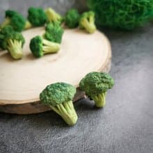 純素西蘭花別針和耳環  純素胸針植物愛好者的有趣珠寶