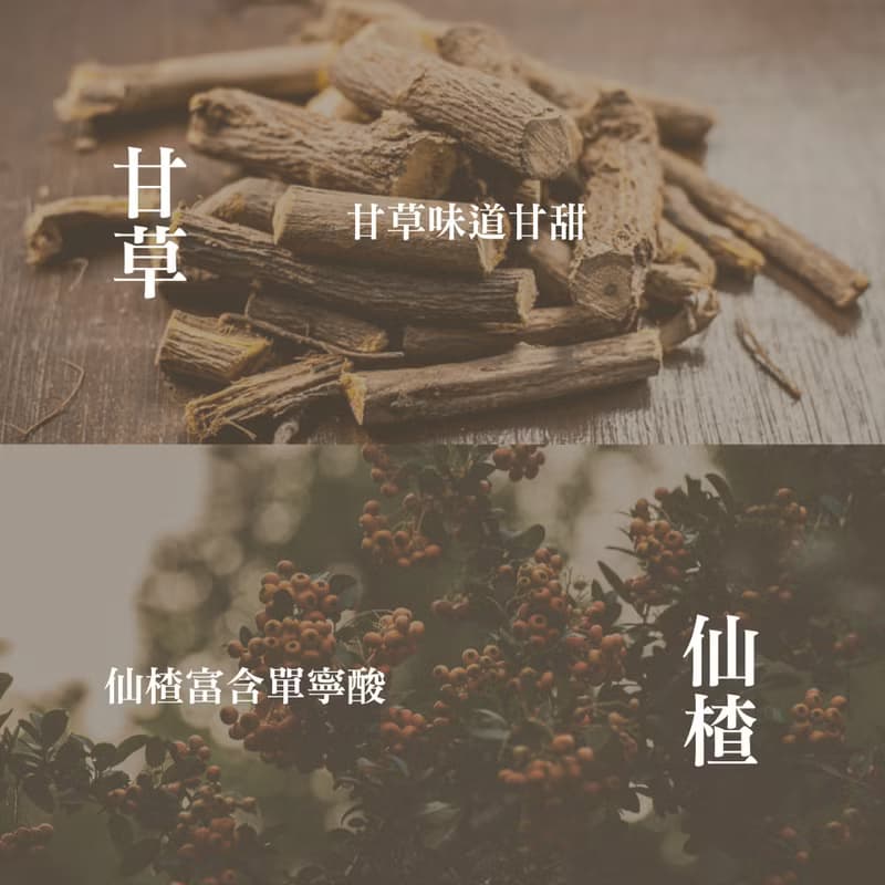 添糖黑糖 TienTang 有料-冰熬烏梅蜜 Brown sugar plum syrup