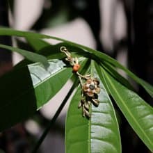 夏枝耳墜 黃銅耳環 施華洛世奇鑽 日本珠 禮物