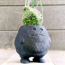 【熔岩肥蛋】植物盆器 3d列印盆器 原創設計 塊根盆 多肉盆 陶盆