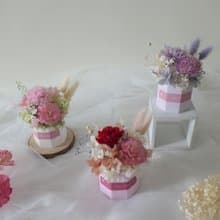 【馬卡龍色系永生康乃馨擴香小盆花】母親節禮物/永生花盆花