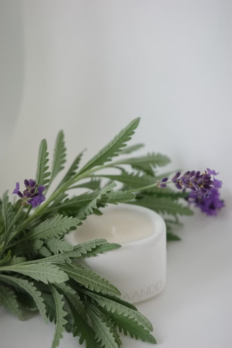 The Pond Candle | 寧靜薰衣草 | 手工水泥香氛蠟燭