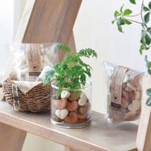 Heart Ceramic 環保陶瓷植物介質 / 愛心型 (可當擴香石)