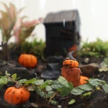 【微景觀】南瓜村1031號 - 苔蘚組盆/萬聖節/交換禮物/南瓜