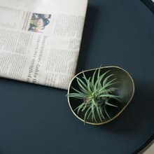 展示品 瑕疵區 皮革手塑碗盤 飾品盤 手工皮革訂製品 SHAPING系列