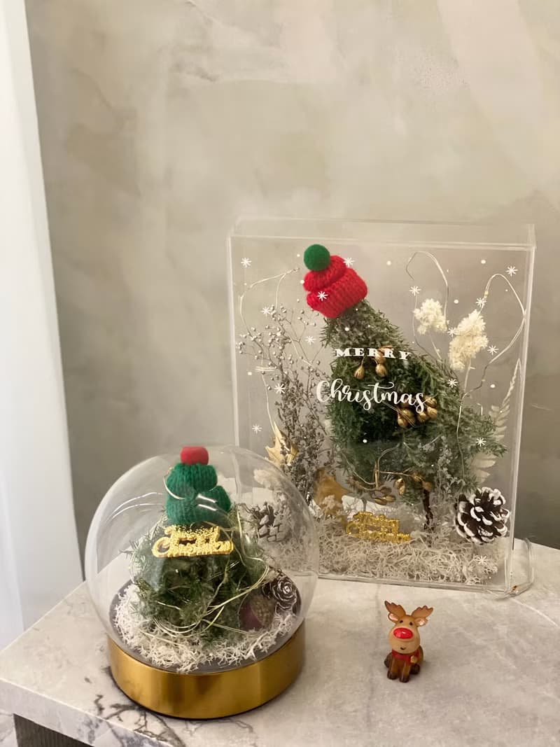 快速出貨! 聖誕禮盒 交換禮物 不凋雪松 雪白耶誕樹玻璃球 (夜燈
