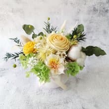 【春的意象】乾燥花/永生花/不凋花/盆花/擴香