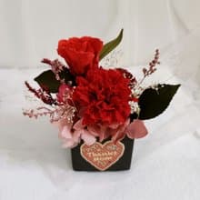 永生康乃馨盆花  情人節生日工商企業贈品課程七夕情人節花束中秋