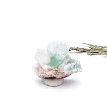 微花。原礦 一圖一物 精品 l 綠色花花魚眼石 橘紅白沸石 礦標 l