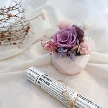 永生玫瑰盆花  永生玫瑰桌花 開幕 生日 交換禮物 居家擺飾