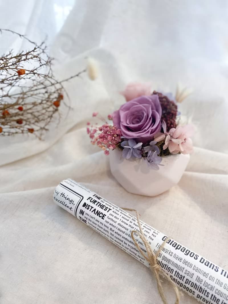 永生玫瑰盆花  永生玫瑰桌花 開幕 生日 交換禮物 居家擺飾