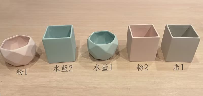 永生玫瑰盆花  永生玫瑰桌花 開幕 生日 交換禮物 居家擺飾